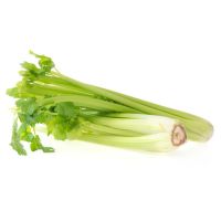 Celer řapíkatý BIO (ks) 